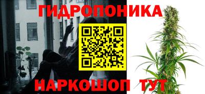 стаф Балахна