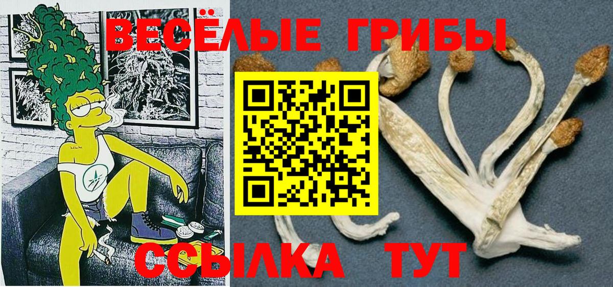 Псилоцибиновые грибы Magic Shrooms Добрянка
